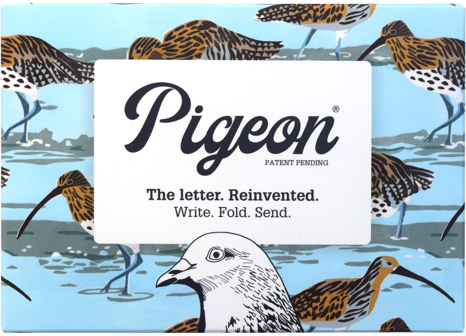 Wholesale Pigeon